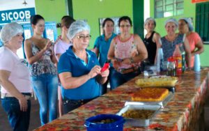 curso oferecido as merendeiras pela Emater-RO e Sebrae-RO (3)-FOTO EMATER-RO