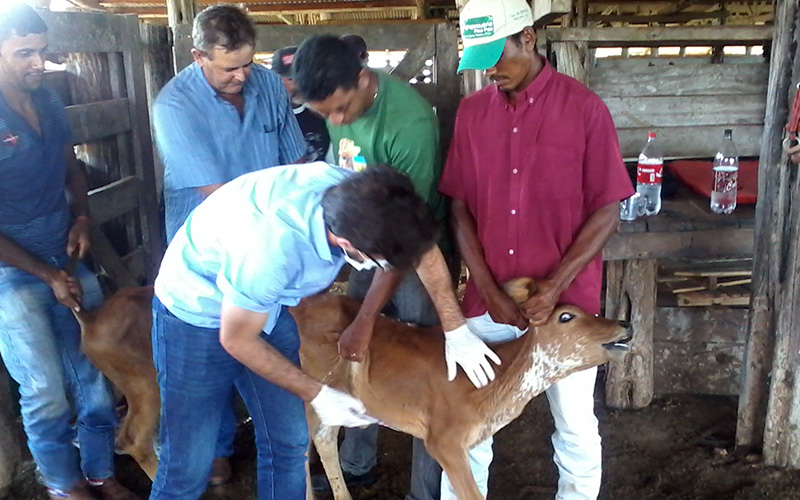 As aulas práticas foram realizadas na propriedade rural do produtor Amilto Silvério.
