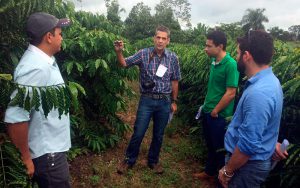 Rondônia já é o segundo maior produtor de café conilon do Brasil e o primeiro em café robusta.
