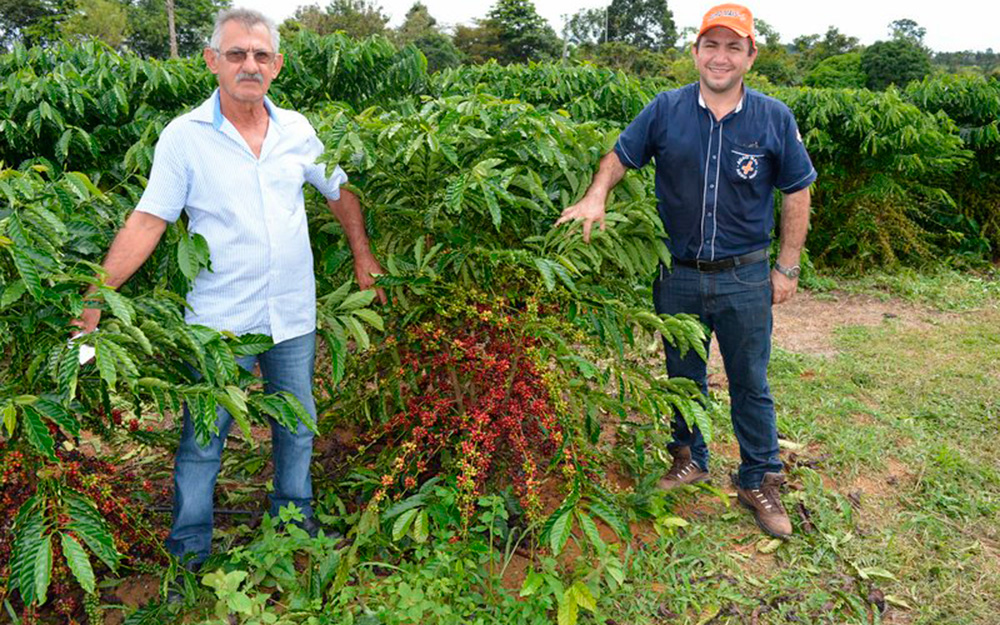 Dia-de-Campo-sobre-cafe-tecnificado_003-foto-EMATER-RO