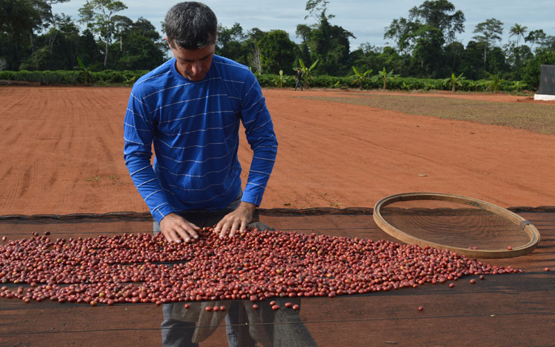 O concurso abre caminhos para aprimorar a excelência da produção de café no estado.