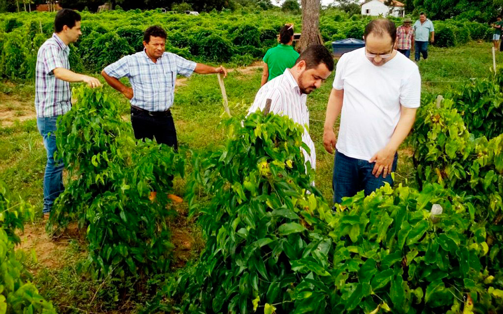 Satisfação dos produtores rurais e lavouras bem conduzidas.