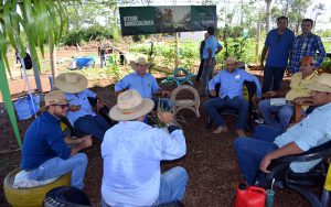 11 hectares apresentando a evolução das cadeias produtivas com assistência técnica especializada e inovação tecnológica.