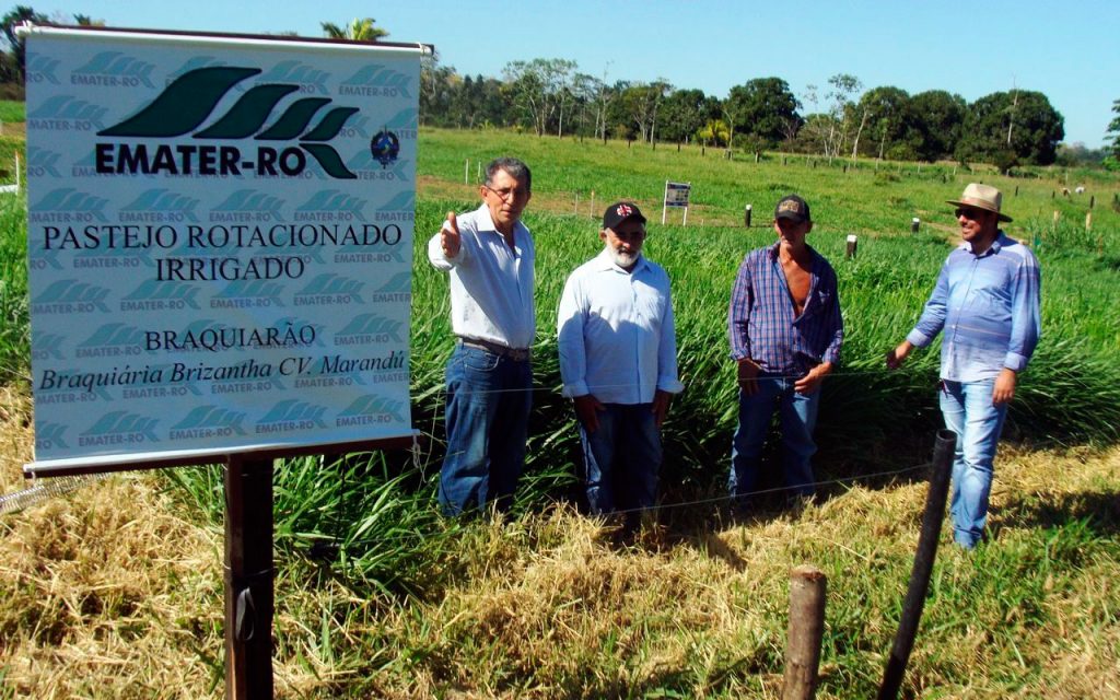 A produtividade leiteira de Teixeirópolis é de 38 mil l/dia.