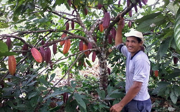 Alternativa para a diversificação produtiva e estimulo ao aumento da renda