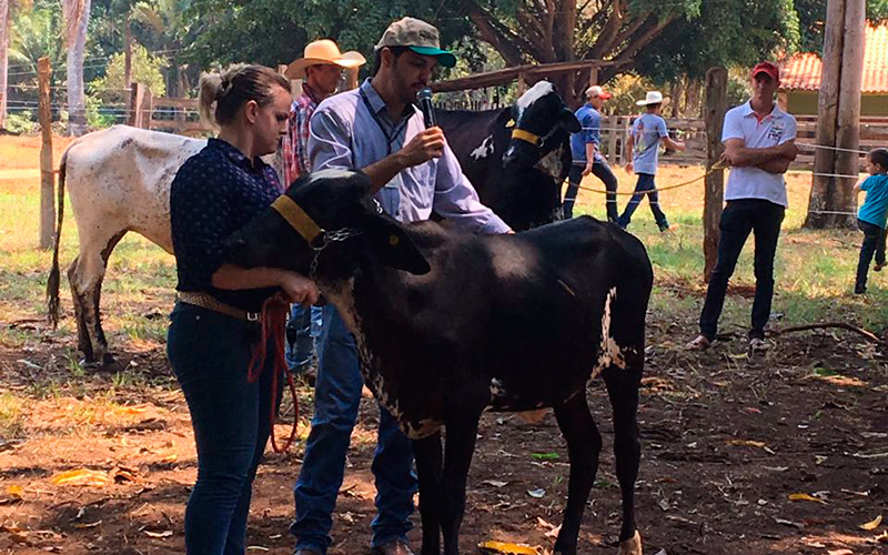 incentivo à bovinocultura leiteira e fortalecimento da agricultura familiar.