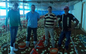 Produção tecnificada e profissionalizada para os agricultores.