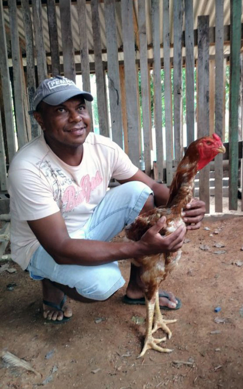 Sabor da carne do índio gigante é semelhante à da caipira.