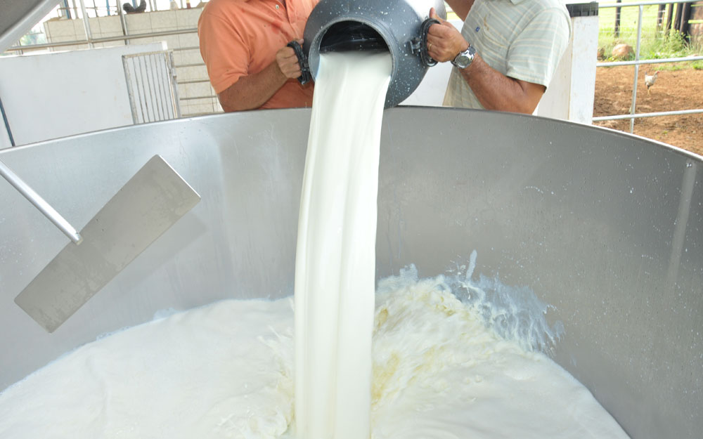 O leite cobre o custeio das atividades de rotina e facilita a gestão da propriedade rural.
