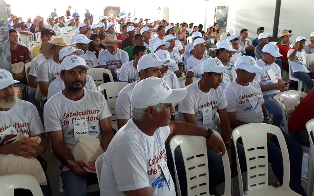 Incentivo do governo de Rondônia e distribuição de mais de três milhões de mudas.