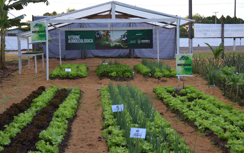 Produção e resultado de lavouras cultivadas com as práticas e manejo corretos. 