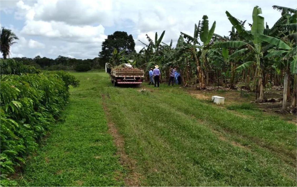 A implantação dos sistemas produtivos poderá dobrar a produção agropecuária no estado.