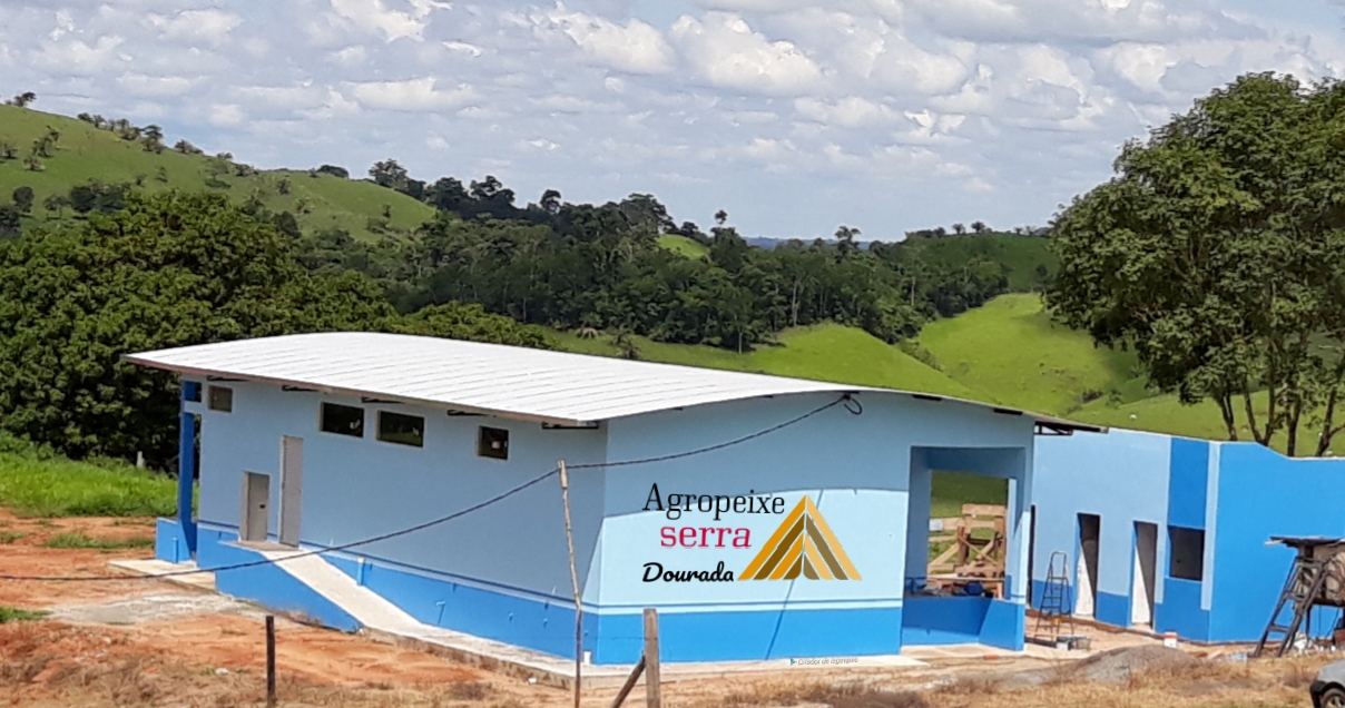 FOTOS agroindustria processamento de peixes