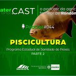 Programa de Rádio