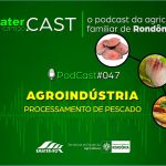 Programa de Rádio