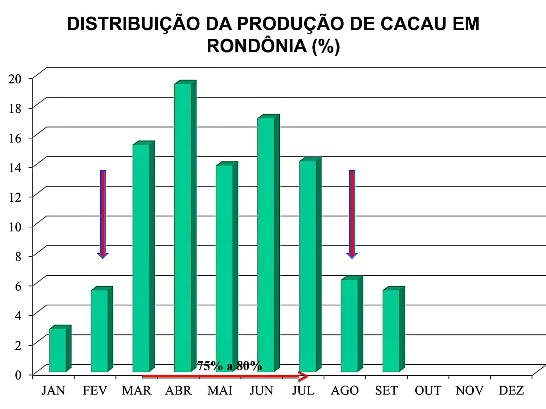 PRODUÇÃO CACAU RO - Copia_1 (6) (1)