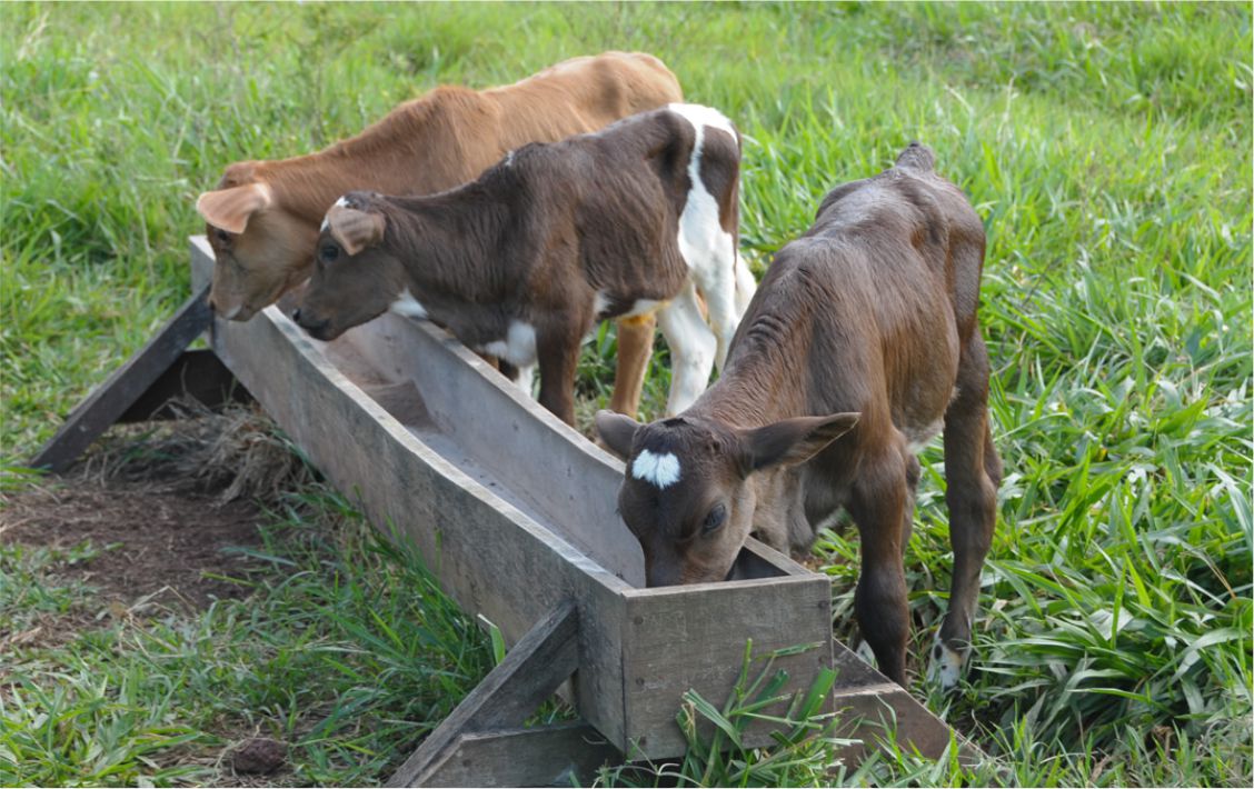 Os critérios para cadastramento no ProVB exigem que os produtores sejam criadores de animais e que possuam a Declaração de Aptidão ao Pronaf .