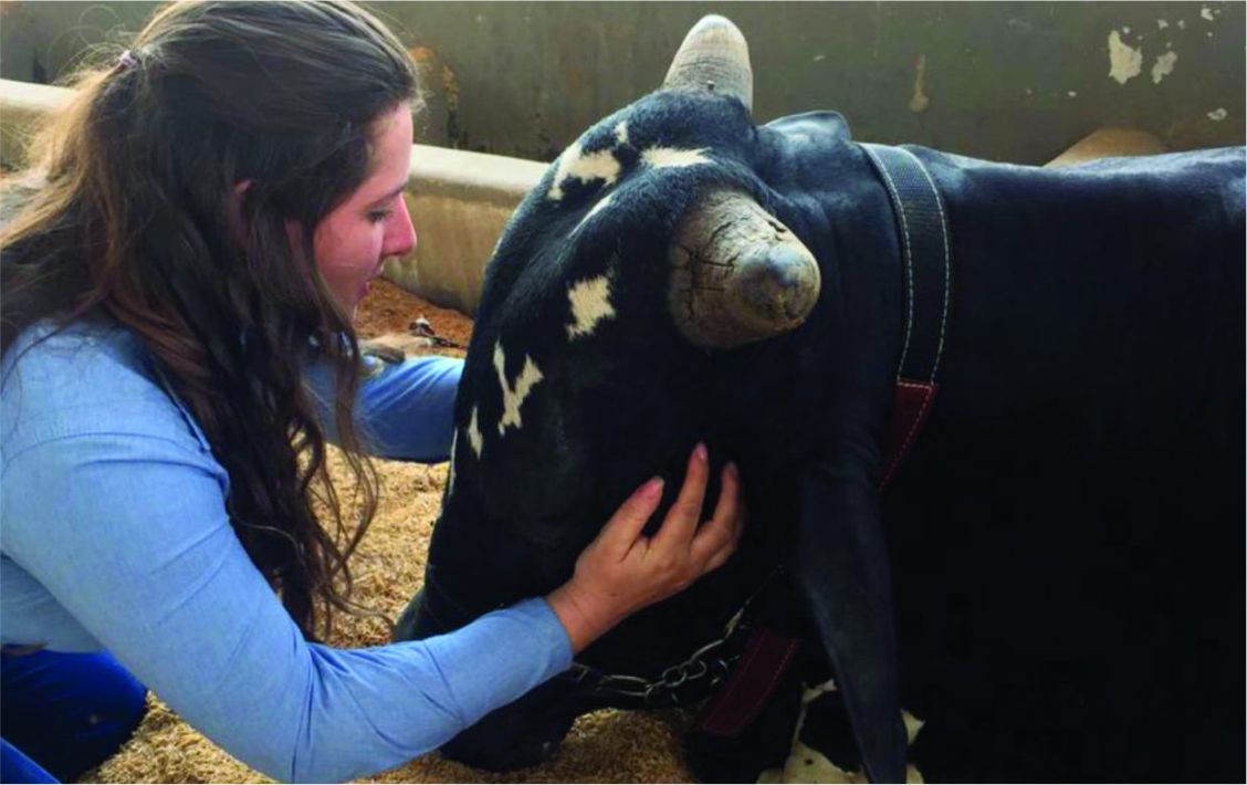 Em homenagem aos profissionais que se dedicam ao trabalho para melhorar a saúde e bem-estar dos animais, o Governo de Rondônia celebra nesta quinta-feira (13) o Dia do Zootecnista, profissional que ajuda o Brasil e o Estado de Rondônia a dar um salto em qualidade e produtividade em toda a cadeia de sua produção animal.