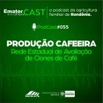 Programa de Rádio