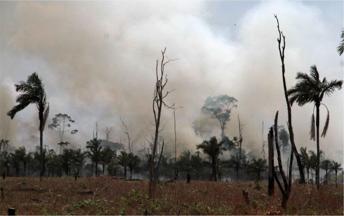 A parceria foi firmada para desenvolver a campanha de prevenção às queimadas e incêndios florestais 2021.