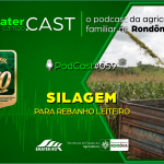 Programa de Rádio