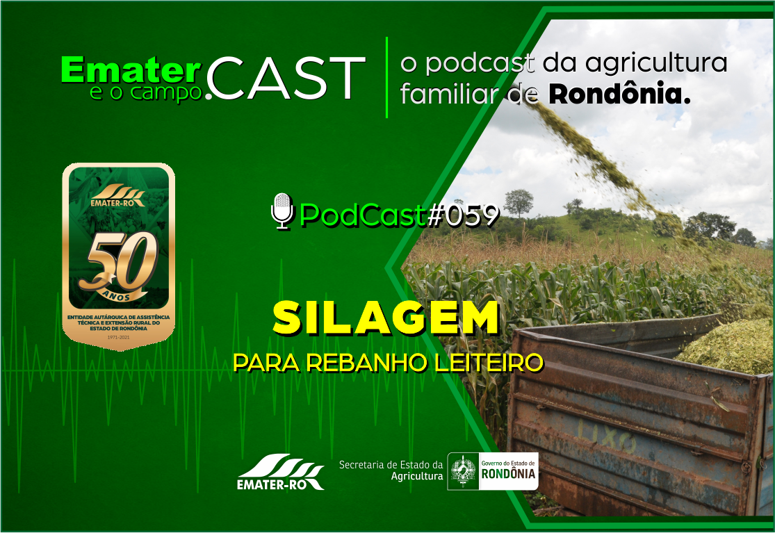 PodCast#059-Silagem para Rebanho leiteiro