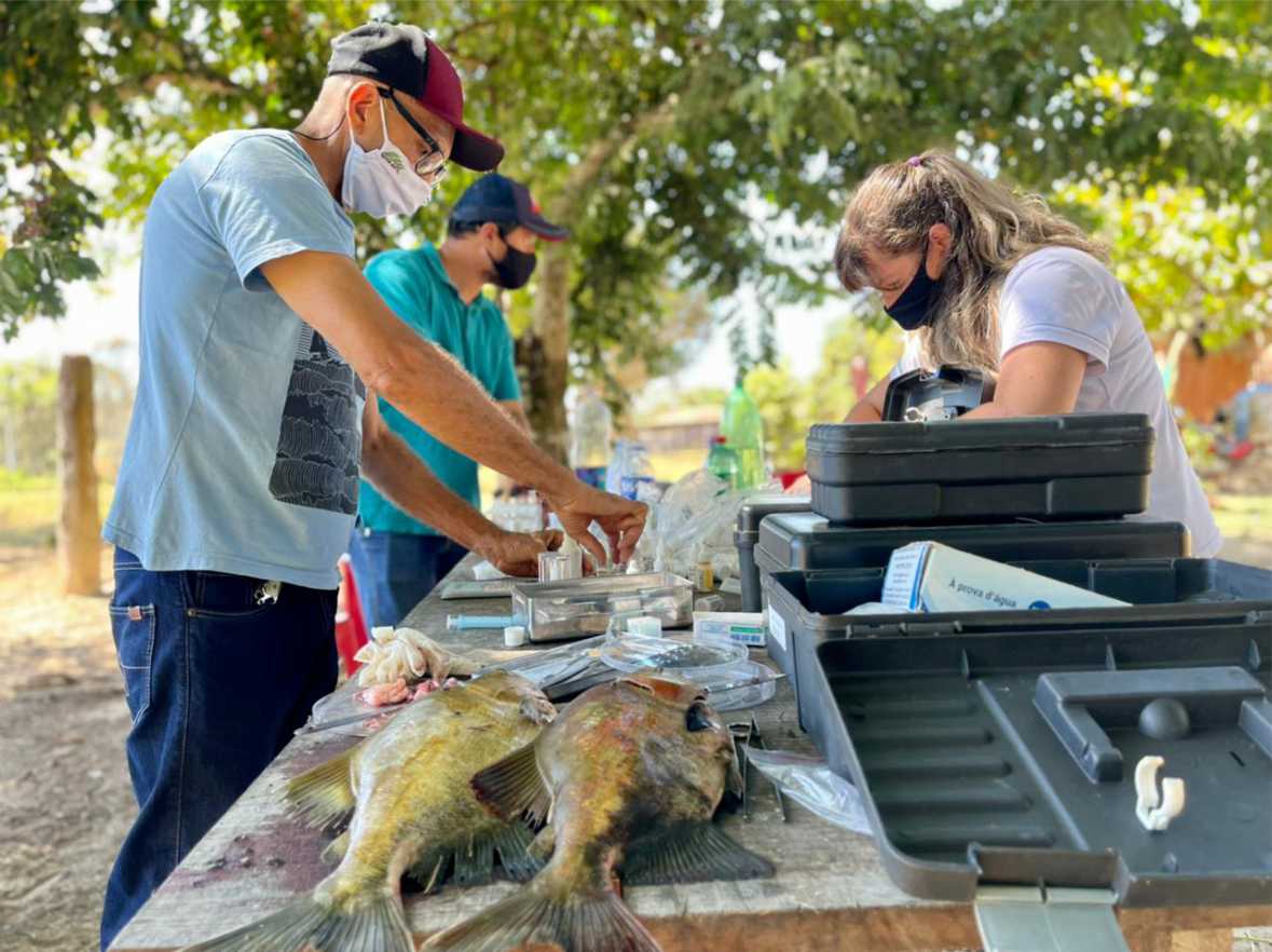 Programa atende piscicultores de Cacoal, Pimenta Bueno, Primavera de Rondônia, Espigão do Oeste, Parecis e São Felipe do Oeste