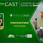 Programa de Rádio