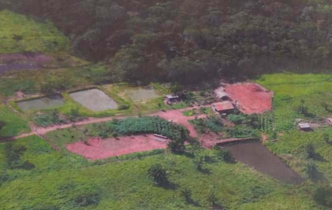 A assistência técnica pública e gratuita foi fundamental no desenvolvimento da piscicultura em Rondônia.