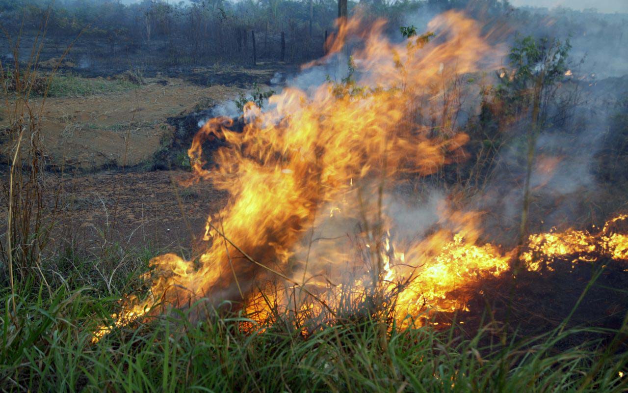 A orientação contra a prática de queimadas está dentro da programação das atividades da Emater-RO nos 52 municípios do estado.