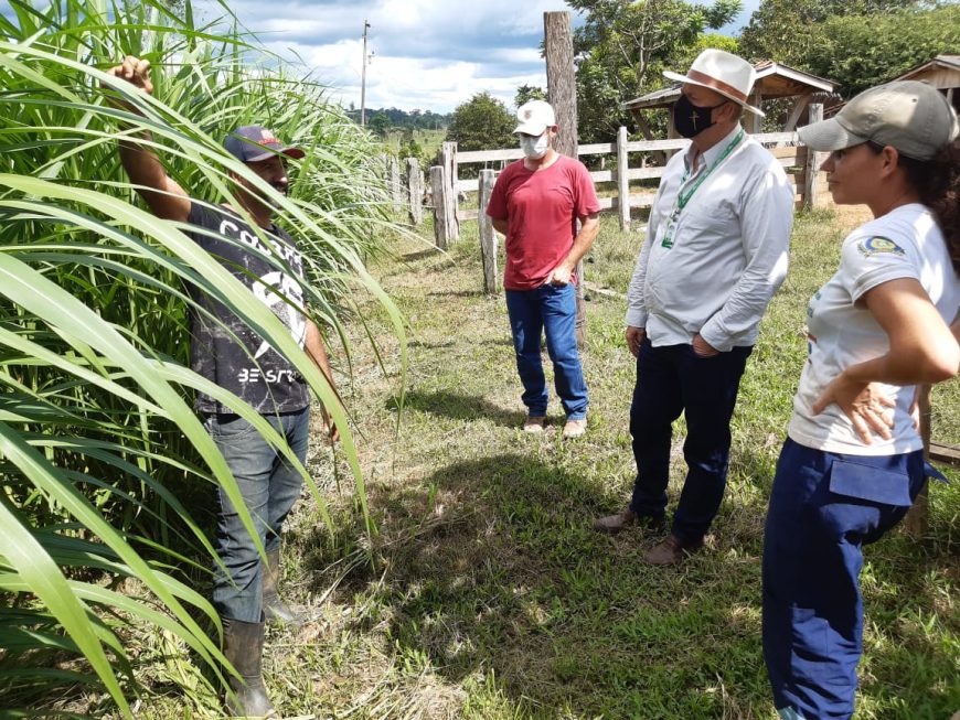 Público atendido pela Emater-RO é o que desenvolve atividades rurais com base familiar, em módulos de até 240 hectares.