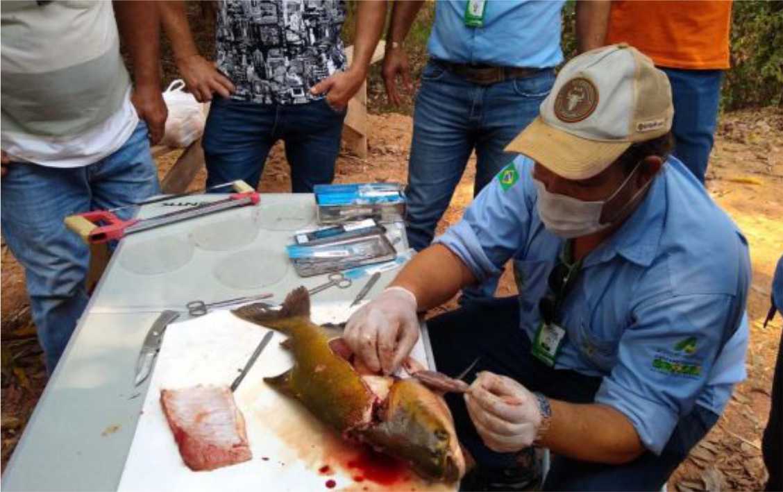 Técnico demonstra manejo eficaz do peixe.