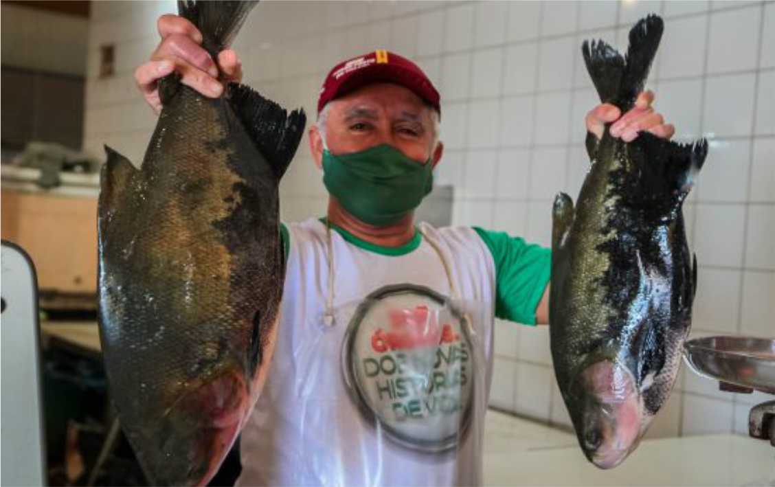 O Programa “Peixe Saudável” garante a rastreabilidade dos peixes produzidos em Rondônia, em busca da qualidade e da renda para o produtor.