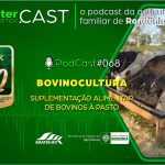 Programa de Rádio