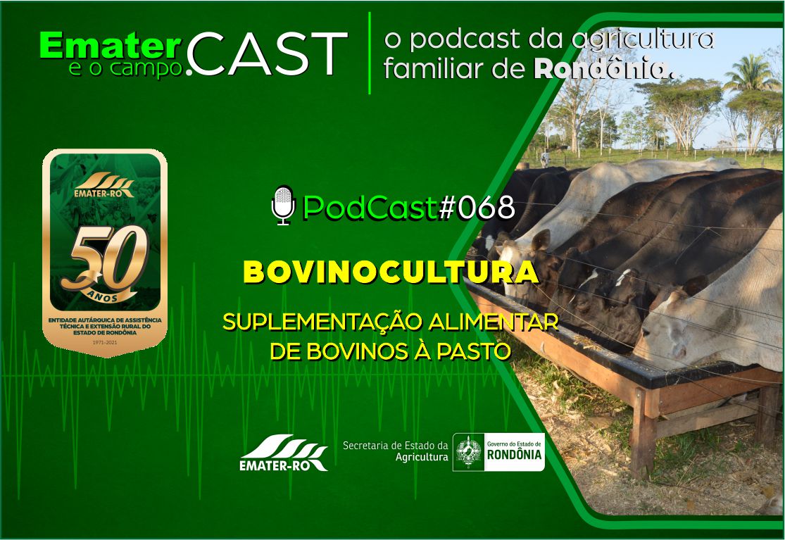 PodCast#068-Suplementação alimentar de bovinos