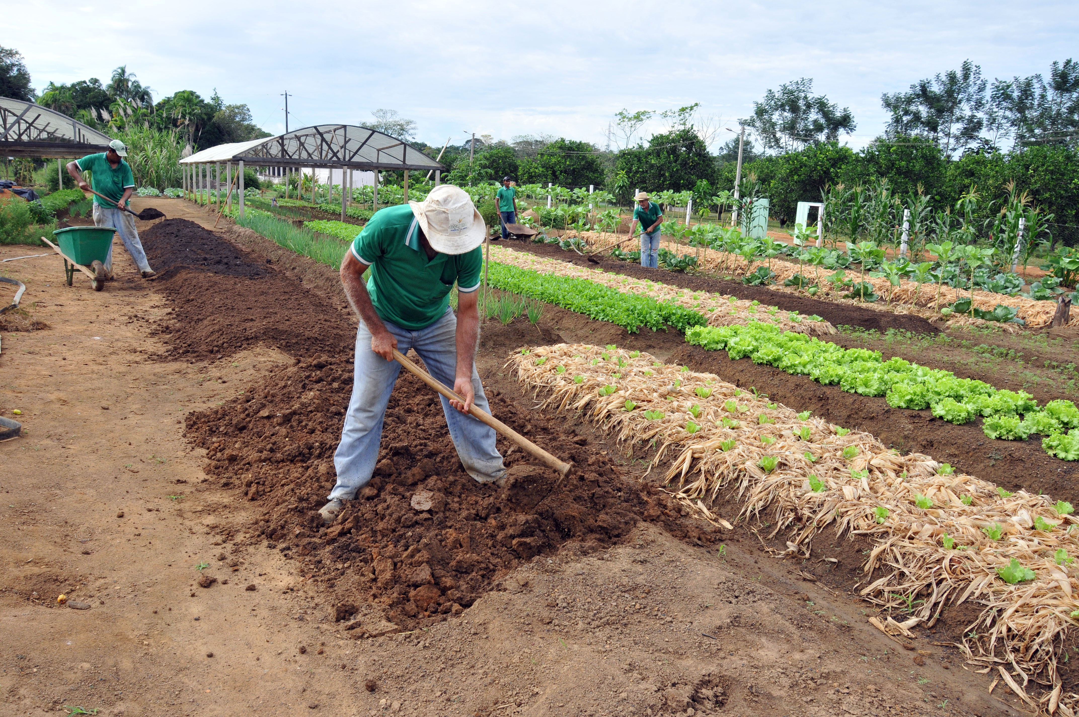 Os serviços voltados para a agricultura familiar ganharam atenção especial do governo estadual.