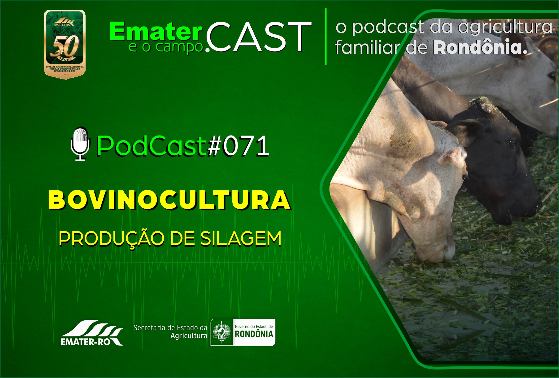 PodCast#071-Produção de silagem