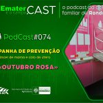 Programa de Rádio