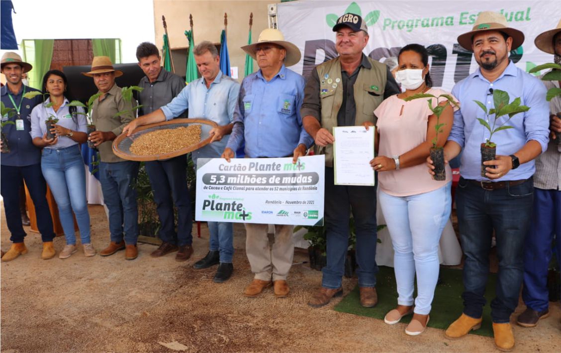 Distribuição de cinco milhões e 300 mil mudas de café clonal aos cafeicultores rondonienses.