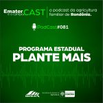 Programa de Rádio