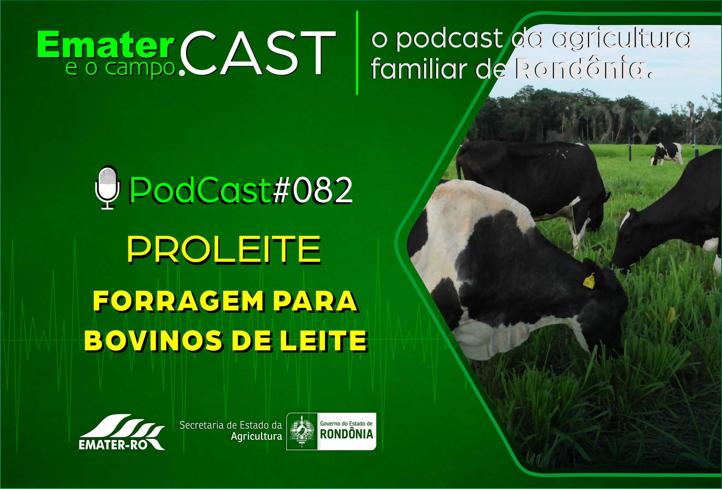 PodCast_082-Proleite-Forragem para bovinos
