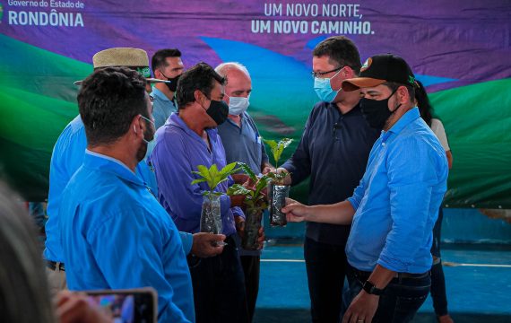 Mudas clonal devem ajudar na lucratividade da agricultura familiar.