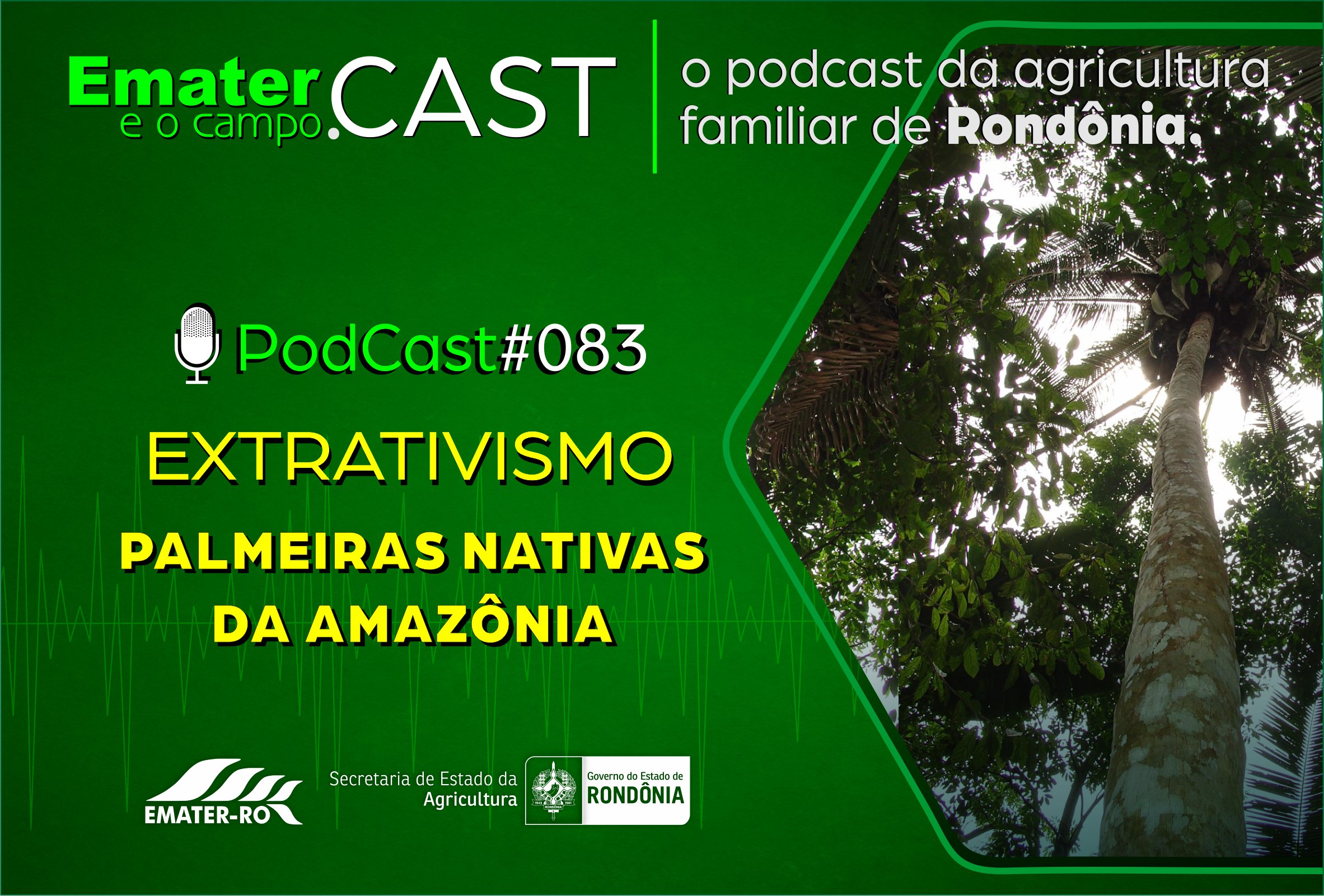 PodCast_83-exploracao de palmeiras nativas da Amazonia