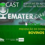 Programa de Rádio