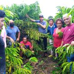 Indígenas interessados no cultivo do café aprendem práticas agroecológicas