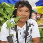 Indígenas de Rondônia se destacam na produção de café agroecológico