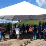 Emater-RO retoma atividades grupais e realiza Dia Campo no distrito de Boa Vista do Pacarana