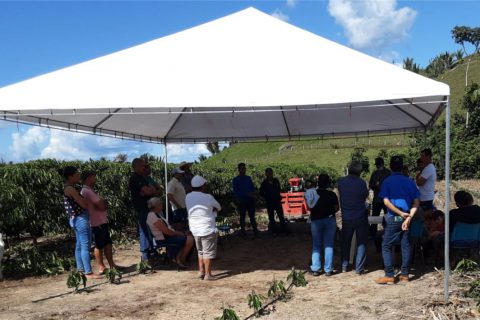 Emater-RO retoma atividades grupais e realiza Dia Campo no distrito de Boa Vista do Pacarana