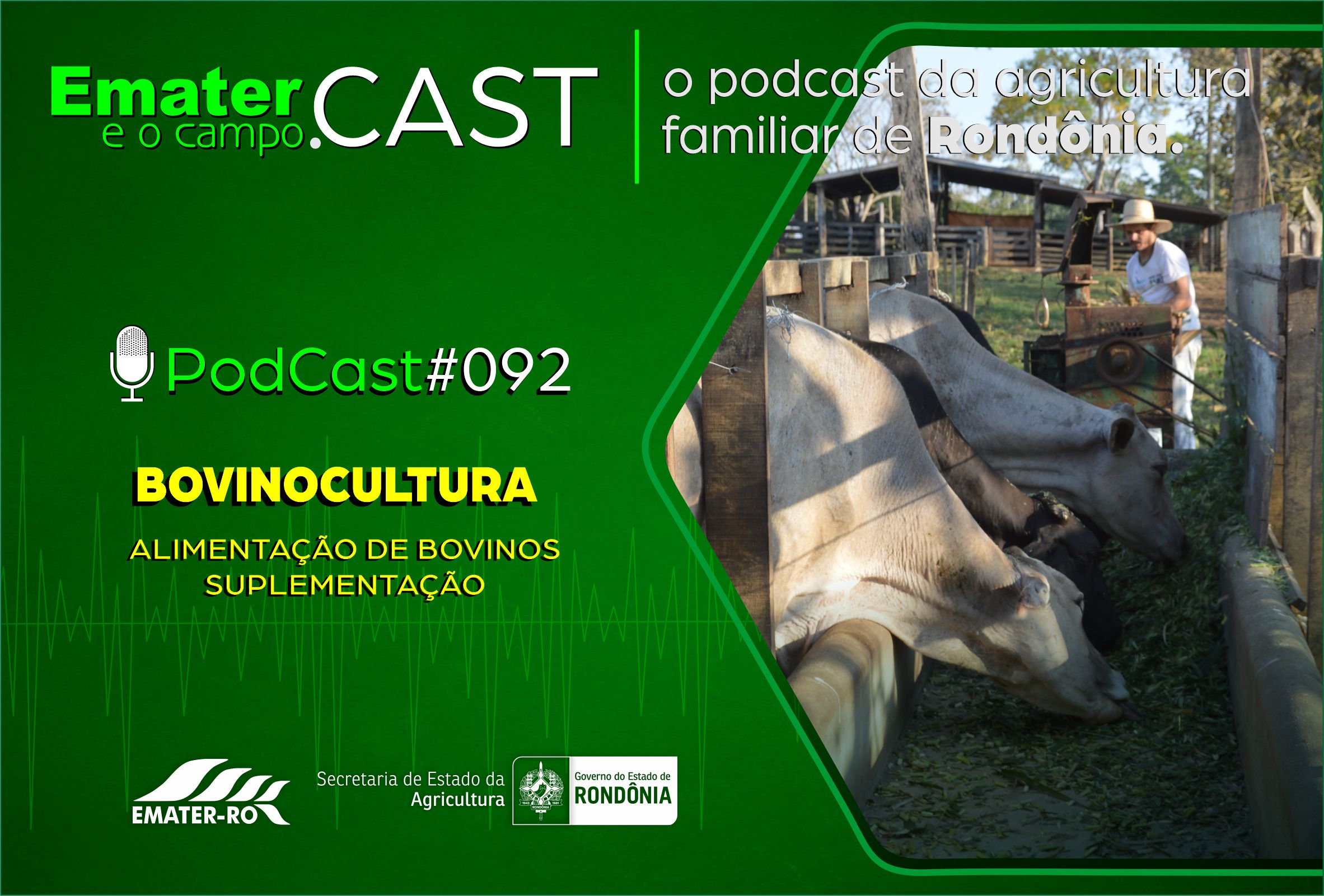 PodCast#092-Alimentação em Bovinos