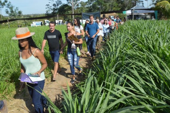 Na Vitrine Tecnológica, extensionistas da Emater-RO  apresentam diversificação da produção com as práticas recomendadas.